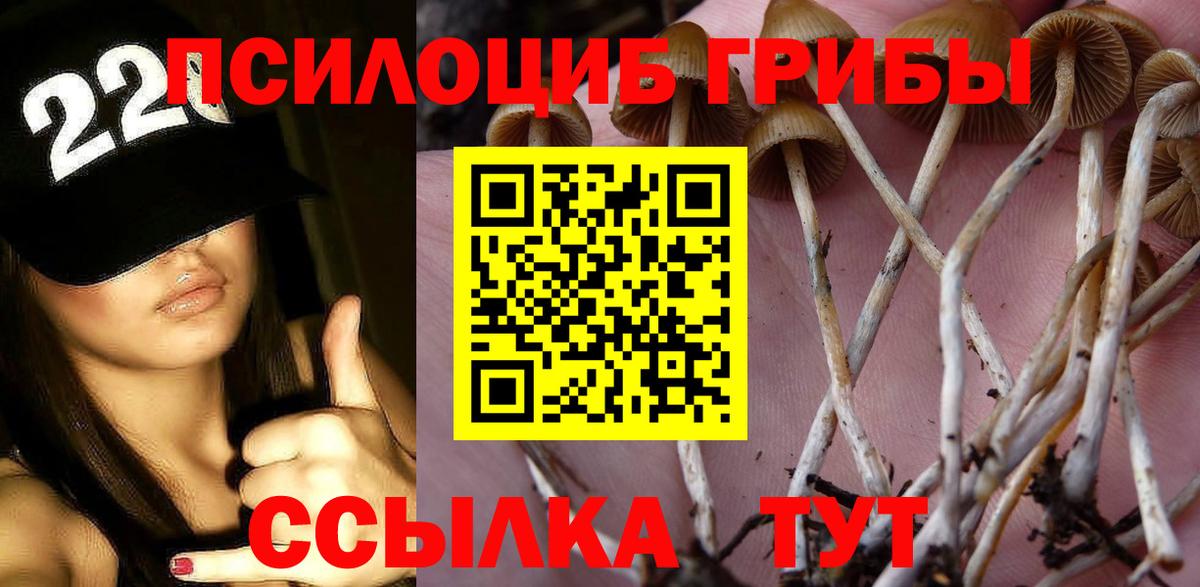 Галлюциногенные грибы GOLDEN TEACHER  Вход с VPN  где купить наркотик  Богданович 